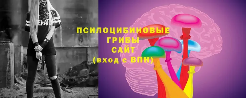 Галлюциногенные грибы прущие грибы  гидра сайт  Канаш 